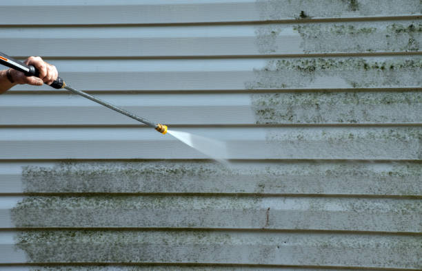 Best Solar Panel Cleaning  in Leisure Village East, NJ